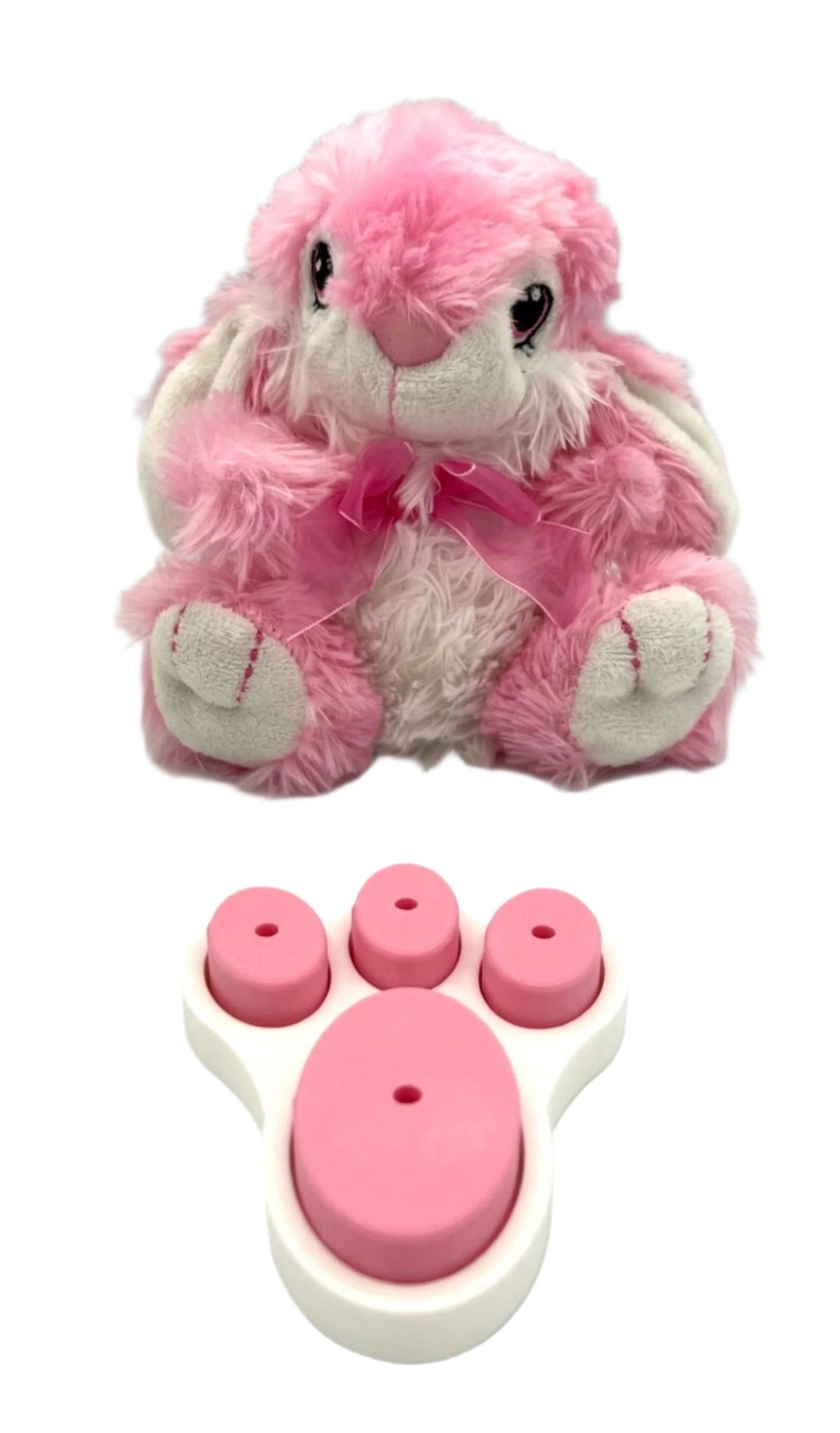 Lollipop Stand #22 - Rabbit Paw