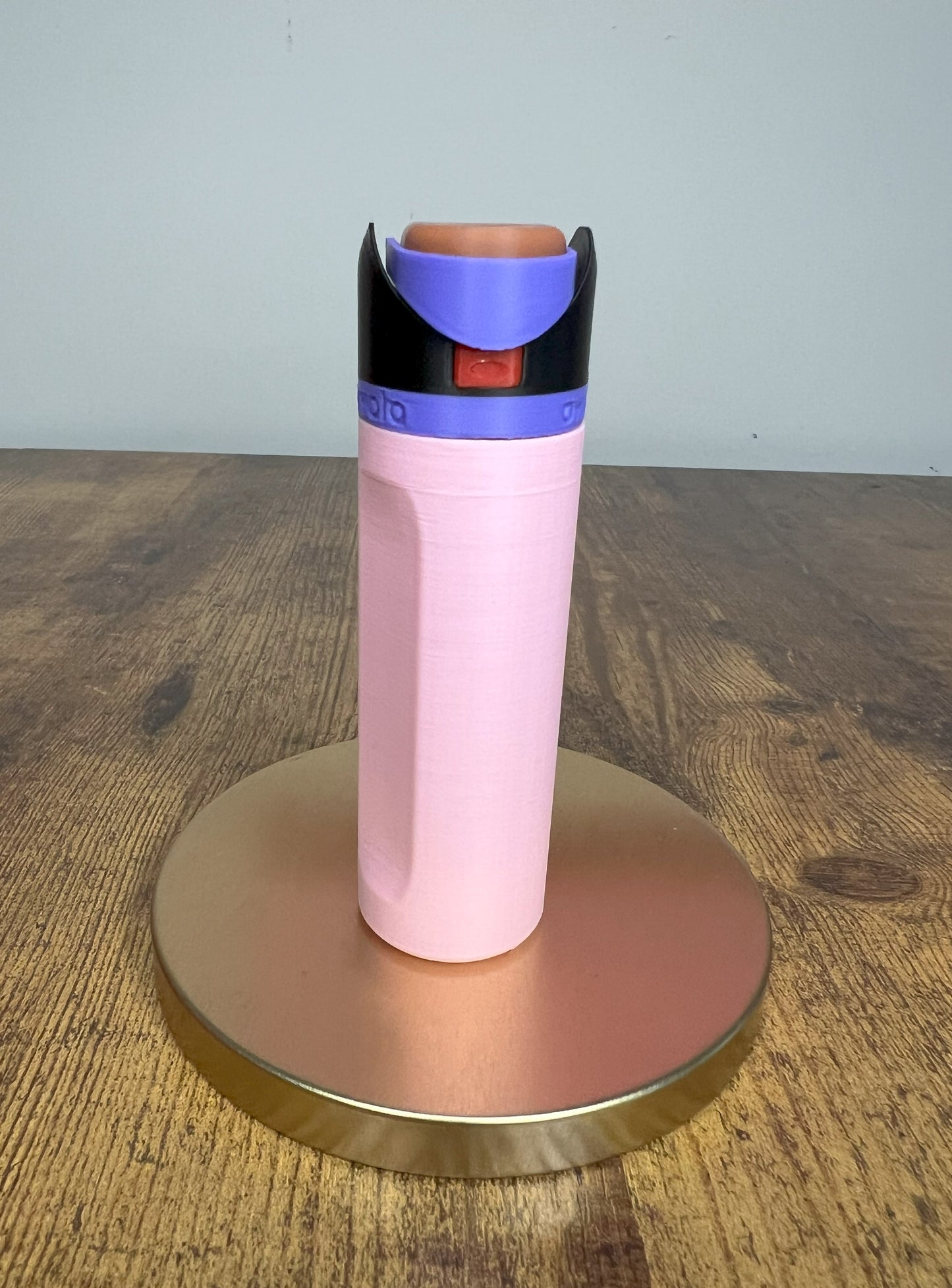 Trendy Bottle Keychain / Chapstick Holder / LipBalm Holder / Money holder / Perfect Gift